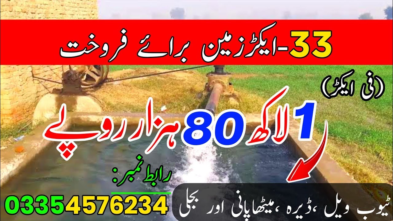 agriculture Land for Sale Punjab in Pakistan Cheap Price 33 Acer