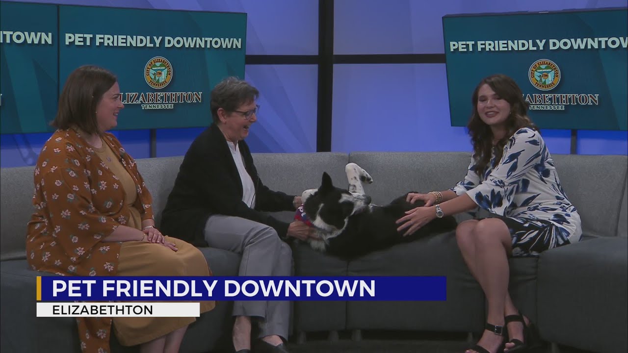 Main Street Elizabethton launches "Pet Friendly Downtown" YouTube
