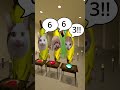 バナナ猫が算数のお勉強!🍌😺Bananacat studying math!#gmod #bananacat #shorts