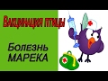 Симптомы болезни марека у кур