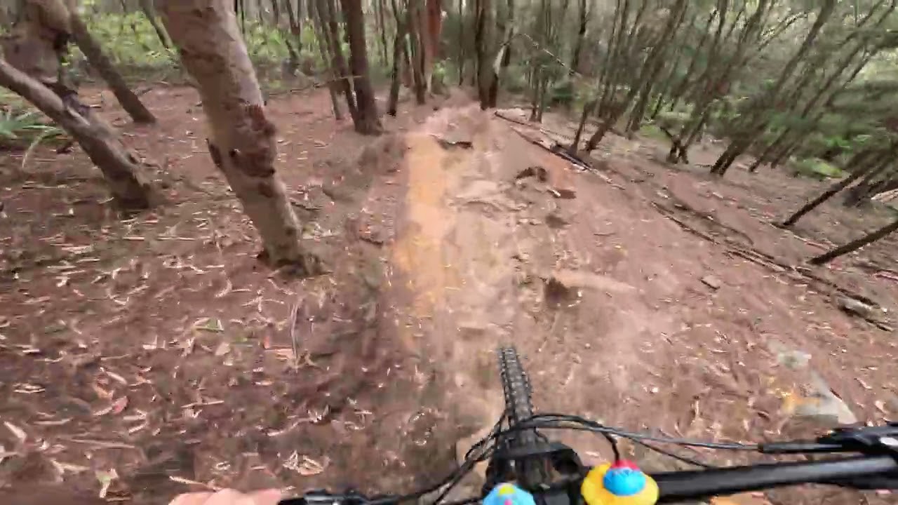 Raw footage, trying to get better please give tips #mtb #mtnarra #mountainbiking 