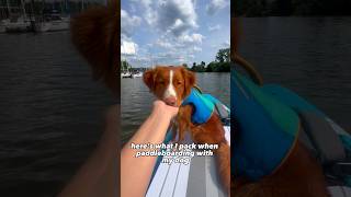 Paddleboarding w/ a dog Essentials! ‍♀#paddleboard #doglovers #dogs