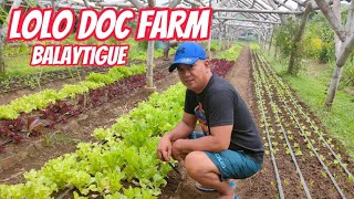 LOLO DOC FARM AT BALAYTIGUE || WOW Fha-Nurt TV