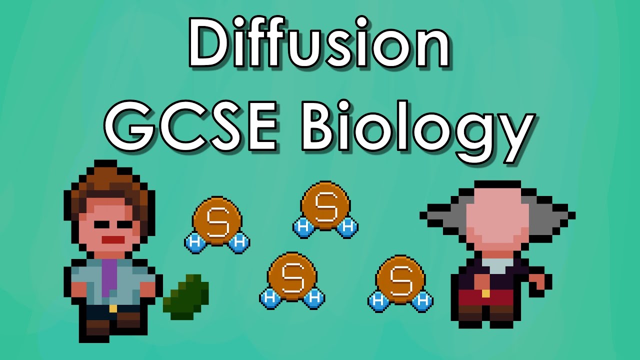 Diffusion Explained Biology WJEC AQA GCSE REVISION YouTube Diffusion Explained Biology WJEC AQA GCSE REVISION YouTube