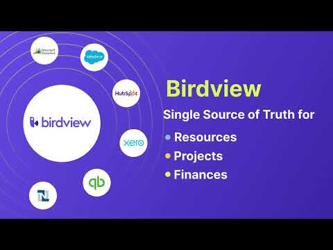 Birdview PSA - project, resource, and financial management software for professional services