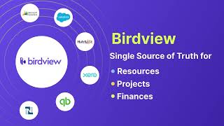 Birdview Psa - Project, Resource, And Financial Management Software For Professional Services