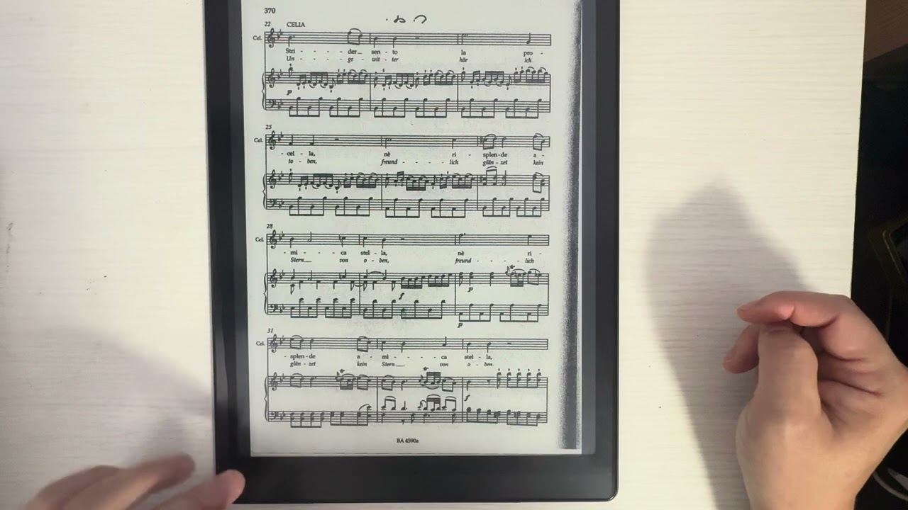 MobileSheetsの欠点