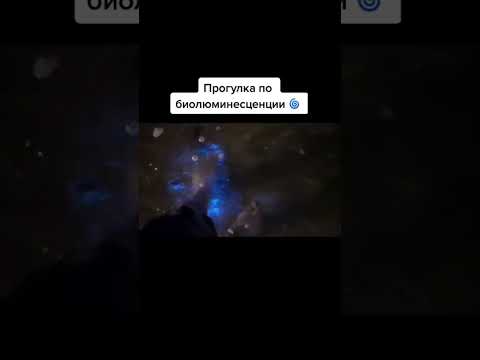 ЭТО ЯВЛЕНИЕ НЕ