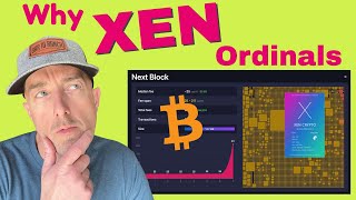 Why Xen Crypto XeNFT's are launching on the Bitcoin chain - to make Bitcoin great again. by Crypto Kindness 853 views 1 year ago 4 minutes, 58 seconds
