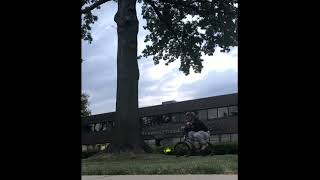 50 tree flips BMX Tim Sulkowski