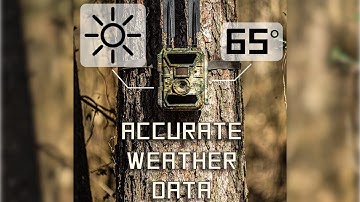 Pattern Deer Using GPS/Weather Data Info