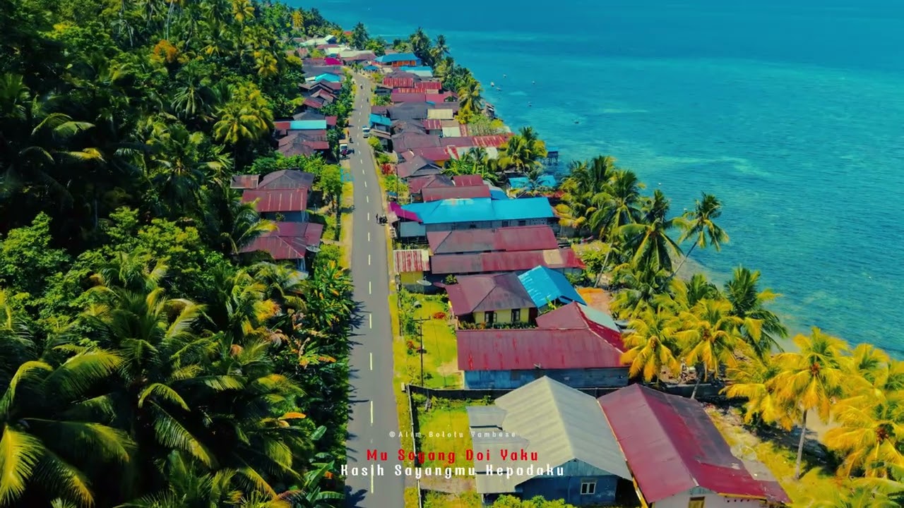 View Desa Batangono dari Udara