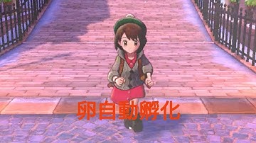 ポケモン剣盾　卵自動孵化　必読