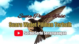 SUARA WALET PILIHAN TERBAIK