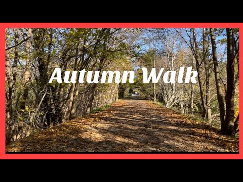 St.John’s, Newfoundland and Labrador, Canada/Autumn walk music video 2021