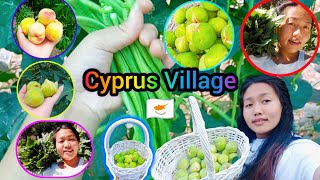 Cyprus  Village Vlog 🇨🇾 || Village life in cyprus || Cyprus Fruits