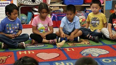 Transitional Kindergarten Overview