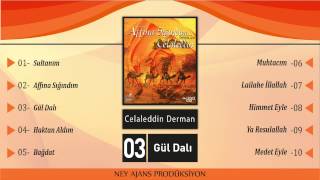 Celaleddin Derman - Gül Dalı Resimi