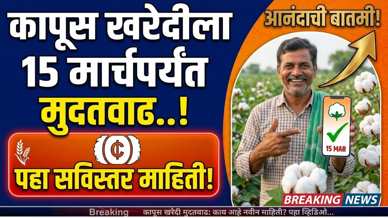कापूस खरेदीला मुदतवाढ! | 15 मार्चपर्यंत CCI हमीभाव | शेतकऱ्यांनी काय करावे?| Cotton Update 2026