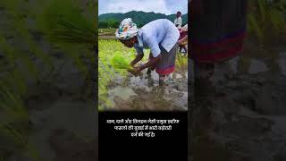 IMD Forecasts Above-Normal July Monsoon: Boost for Sowing, Alert for Flood Zones