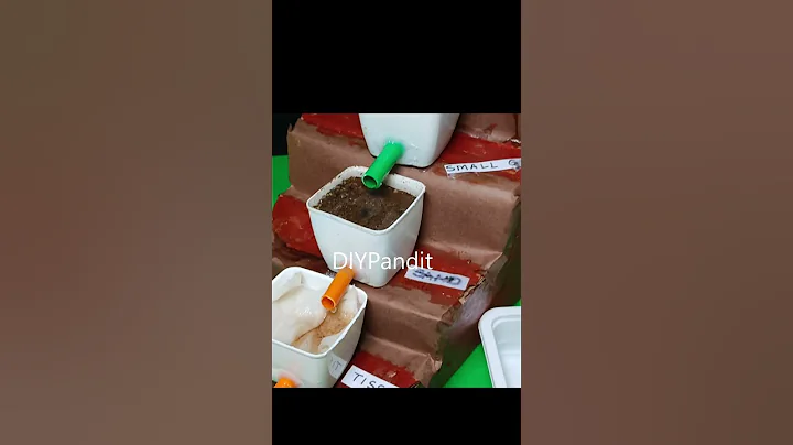 water treatment (purification) working model - shorts | DIY pandit