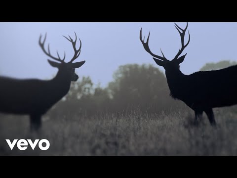 Ihsahn - PILGRIMAGE TO OBLIVION