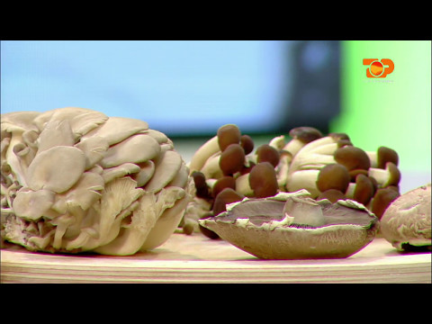 Video: Meze Në Tryezën Festive - Profiterole Me Mbushje Kërpudhash