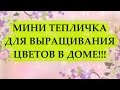 МИНИ ТЕПЛИЧКА СВОИМИ РУКАМИ ЗА ЧАС! БЕЗ НЕЁ ВЫРАСТИТЬ КРАСИВЫЕ ЦВЕТЫ БУДЕТ СЛОЖНО!