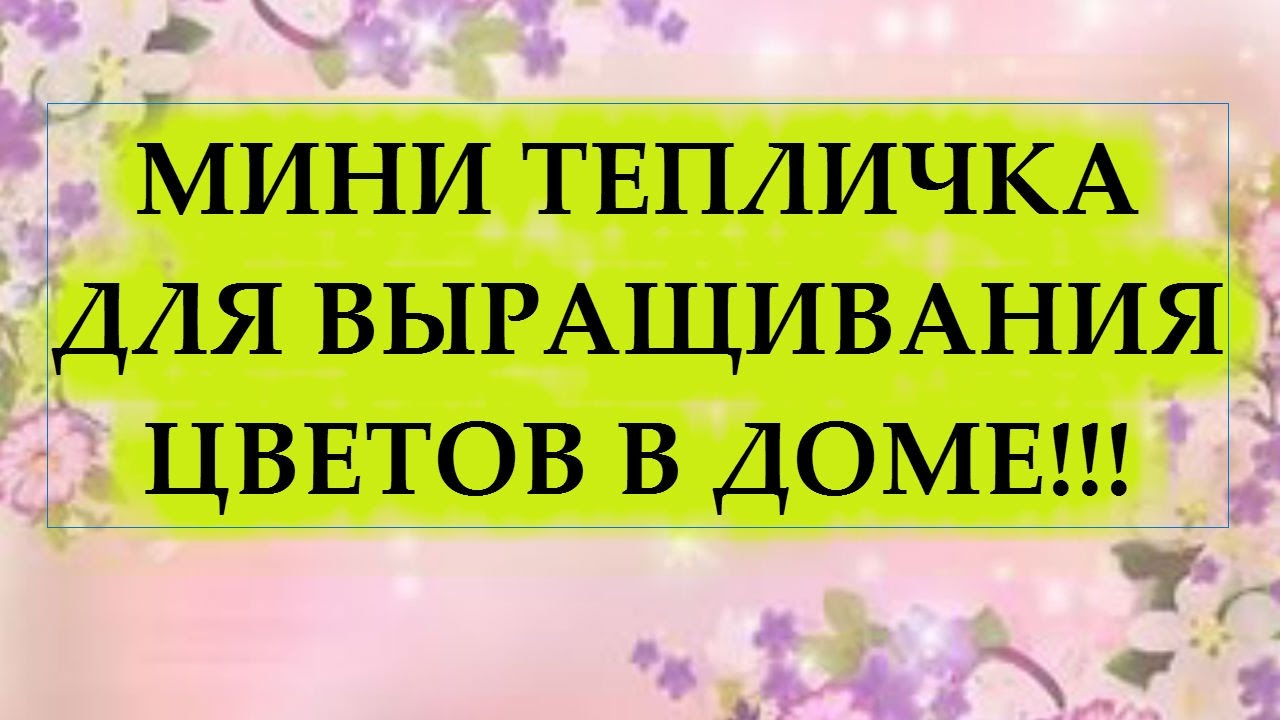 МИНИ ТЕПЛИЧКА СВОИМИ РУКАМИ ЗА ЧАС! БЕЗ НЕЁ ВЫРАСТИТЬ КРАСИВЫЕ ЦВЕТЫ БУДЕТ СЛОЖНО!