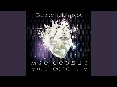 Моё сердце (Bird Attack)