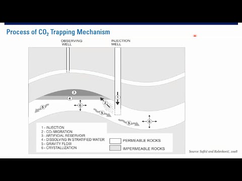 Process of CO2 Trapping Mechanism
