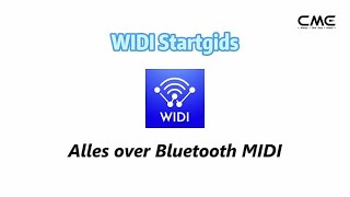 Widi Startgidsnederlands