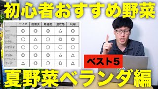 家庭菜園の初心者におすすめな野菜ランキングベスト5【夏野菜ベランダでプランター栽培編】