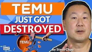 Temu Just Got Destroyed By The US Government - Here's The Full Story