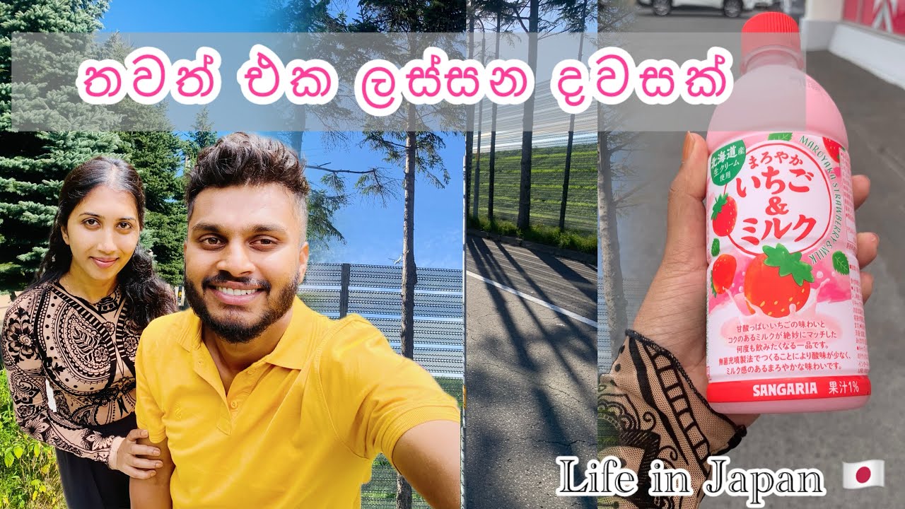 Grocery shopping | අලුත් ජීවිතේ ලස්සන දවසක් | Daiso  | Life in Japan 🇯🇵| Hubby Bole ට නිවාඩු දවසක් 