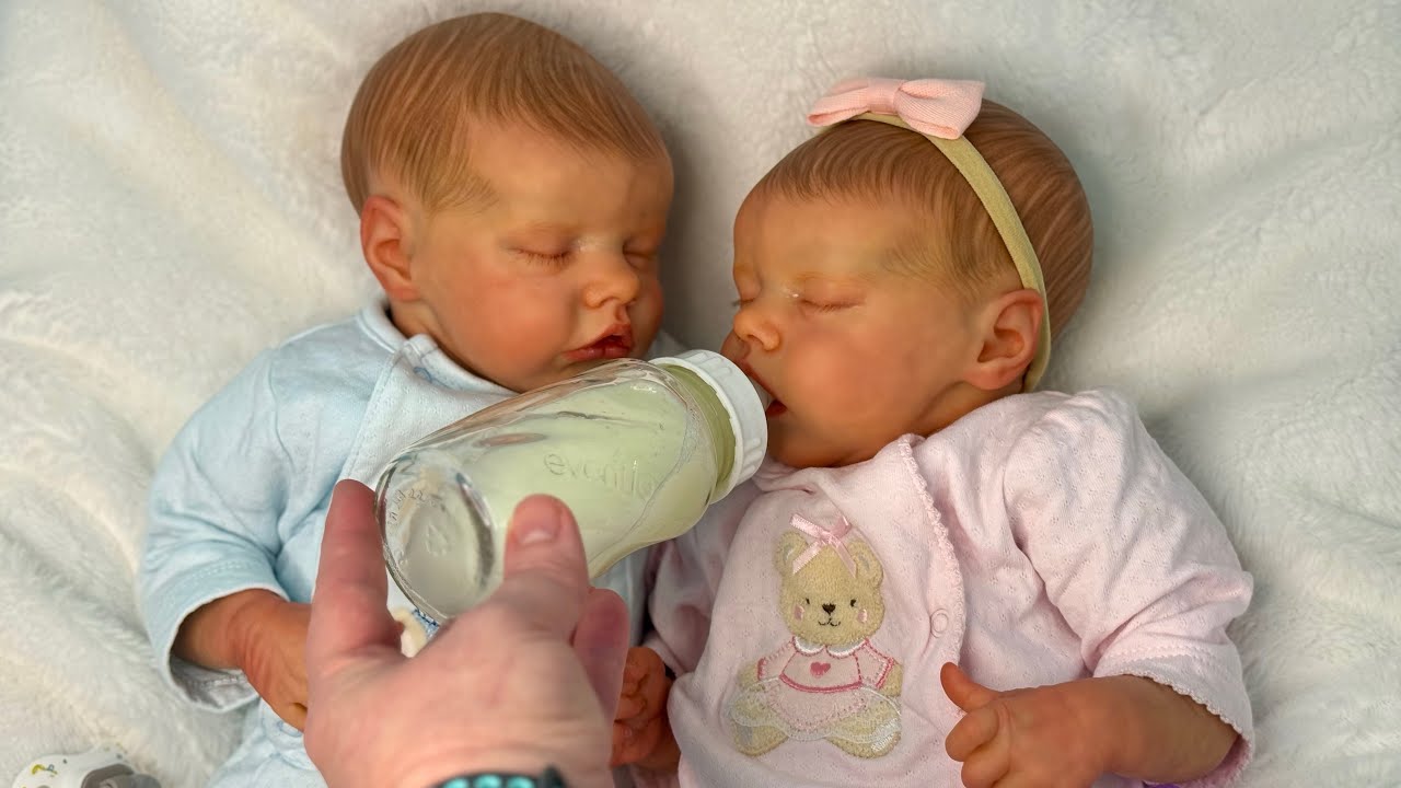 Newborn TWINS Afternoon Routine! Reborn Babies Role Play
