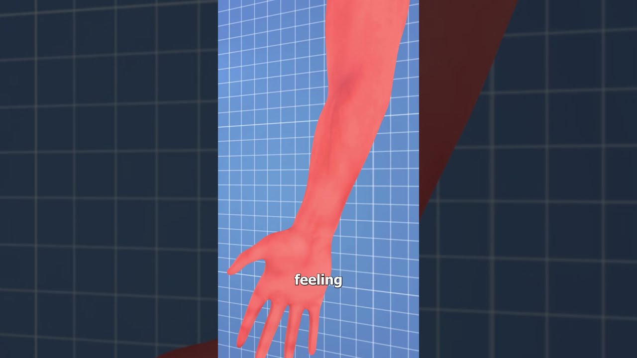 Why Your Arm Falls Asleep 