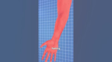 Thumbnail of Why Your Arm Falls Asleep 🤔