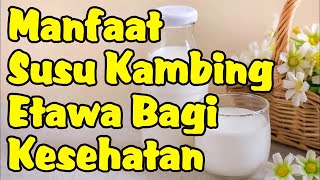 Manfaat Susu Kambing Etawa Bagi Kesehatan