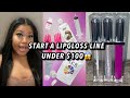 How To Start A Lipgloss Business Under $100!💞 Become Your Own Boss💰+Vendors Included!