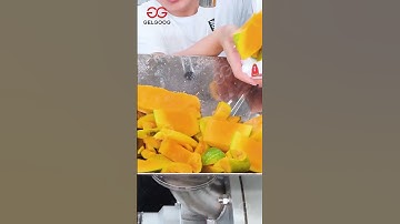Mango Pulp Machine And Processing Flow