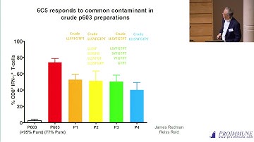 Stephen Man: CD8+ T cell recognition of unusual and unnatural peptide epitopes