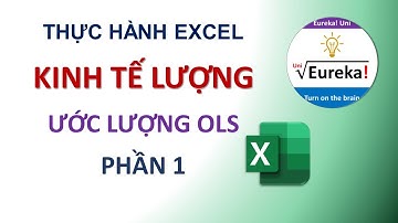 Excel - Kinh tế lượng 1. Ước lượng OLS và đọc kết quả - Hướng dẫn Excel Kinh tế lượng