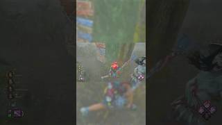 Weird direction switch spin on a spirit.