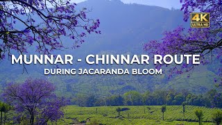 Munnar  Marayur  Chinnar Route | Purple Valley In Munnar | Vlog#73