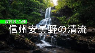 【環境音・ASMR】信州安曇野の清流／川のせせらぎ音と鳥のさえずり3時間（癒し）疲れた心身の回復・リラックス効果・勉強中や作業用、目覚めの朝に、または眠れない夜にもどうぞ。