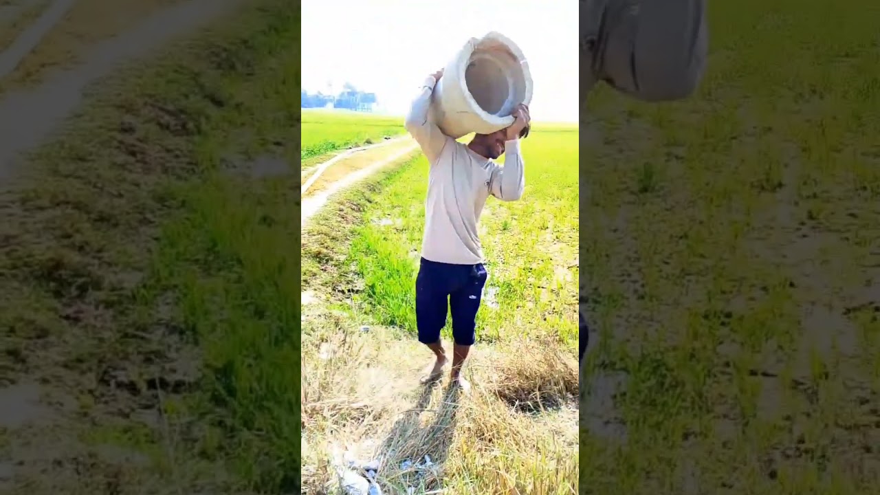 #punjabisong #punjabimusic #youtubeshorts #shortvideos #naturalenhancebody #gymshorts #gymboy