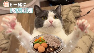 猫がずっと離れない横で蒸し料理を作ります　846話 by はぴ猫日記 29,145 views 1 month ago 8 minutes, 44 seconds