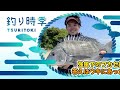 強風下のフカセ釣り答えはウキにあった!【釣り時季】