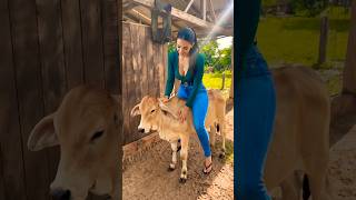 #diyomedi #countrylife #shorts #foryoupage #fy #japan #america #Mexico #india #brazil #indonesia #diyomedi #countrylife #shorts #foryoupage #fy #japan #america #Mexico #india #brazil #indonesia